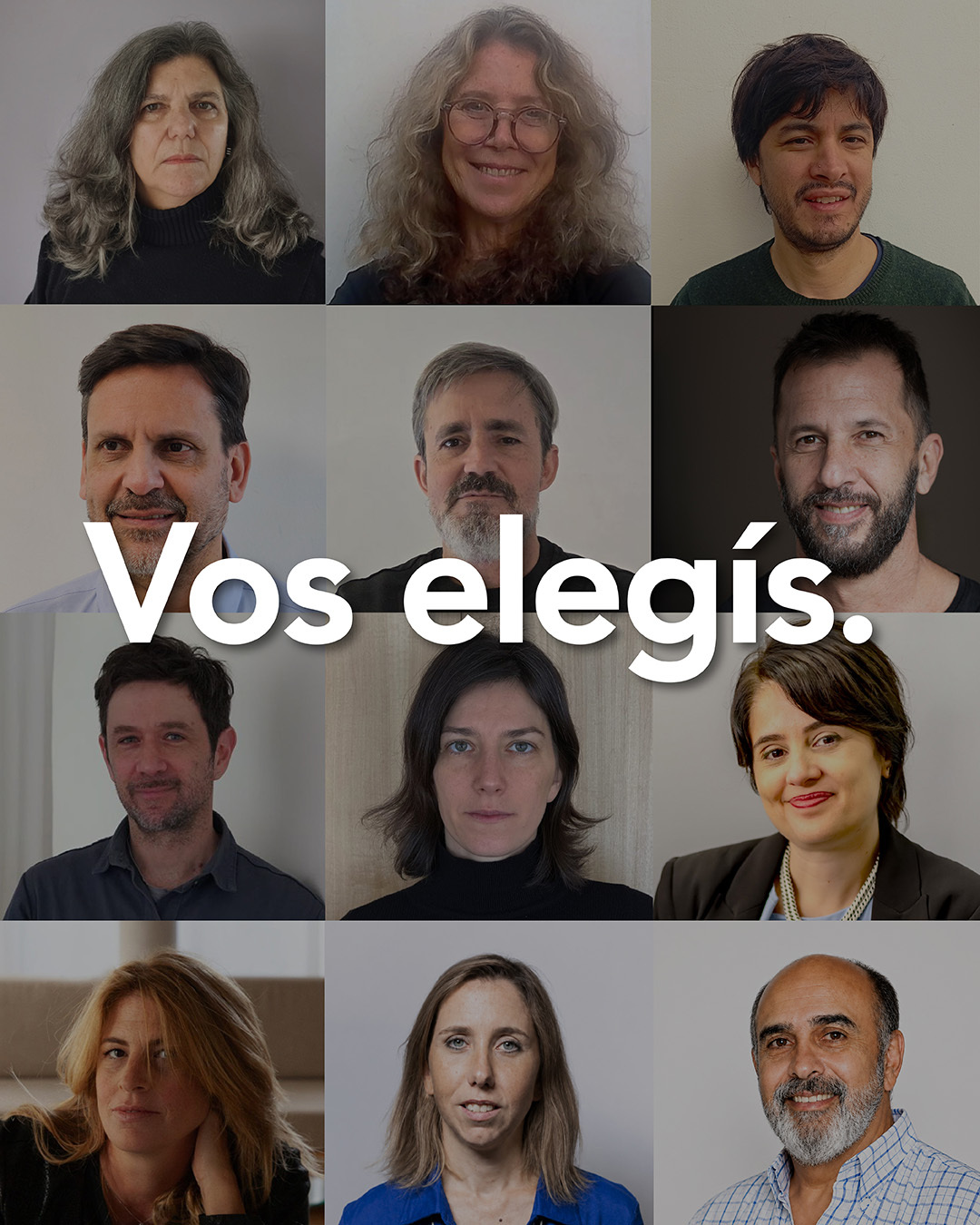 Vos elegís quiénes van a integrar el Consejo.