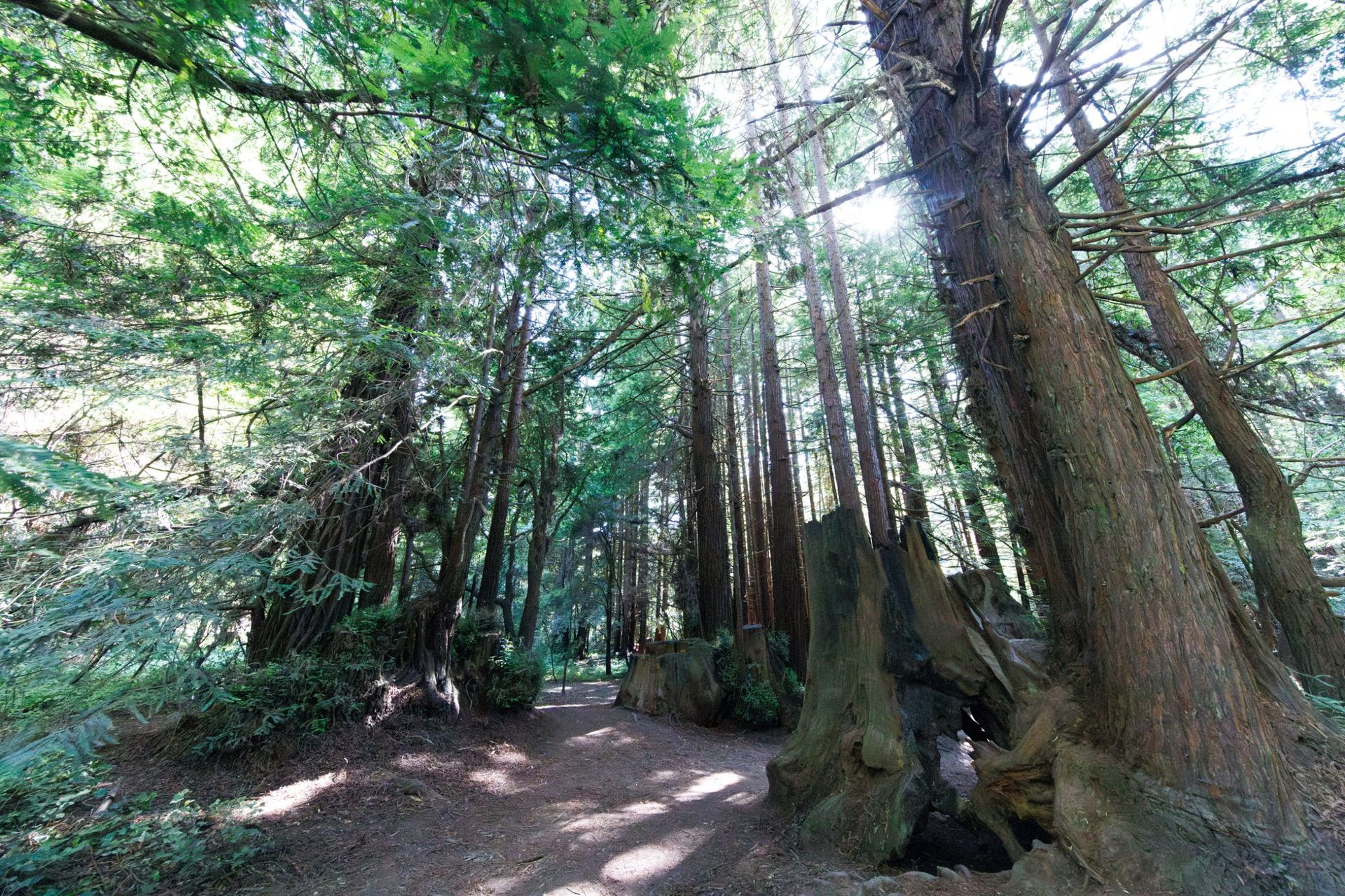Fotowettbewerb lädt Kalifornier ein, die Schönheit der State Parks ...