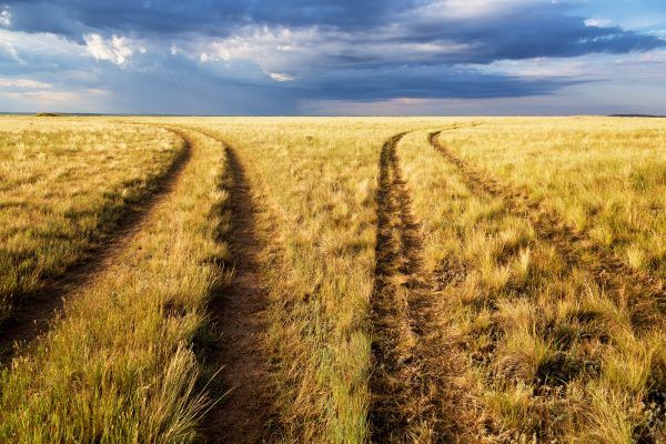 What Does the Decline of Agriculture Really Mean for Central Asia’s ...