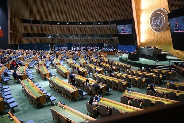 Rohingya Voices at the UN: Implications for the Protracted Humanitarian ...