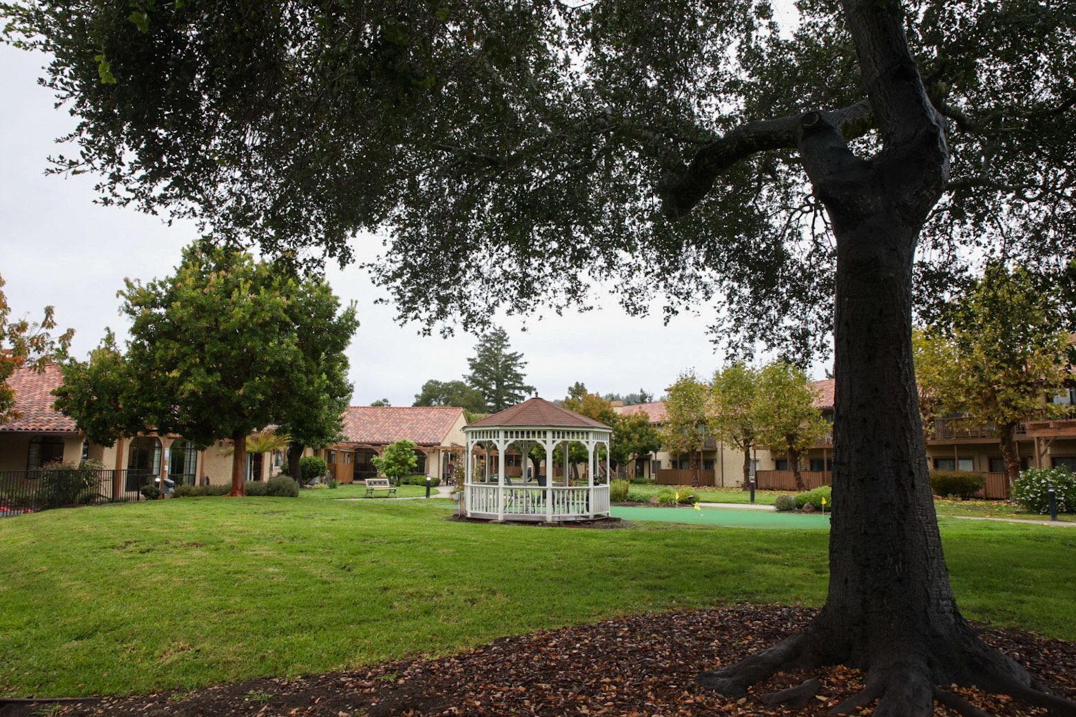 Morning Lookout: Watsonville scraps labor deal; Scotts Valley assisted ...