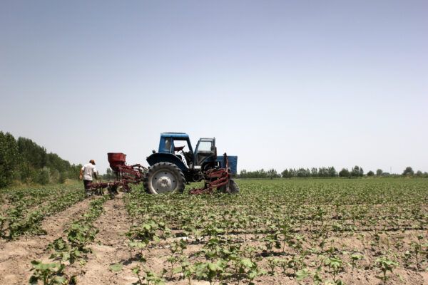 In Usbekistan haben Bauern keine Freiheit.