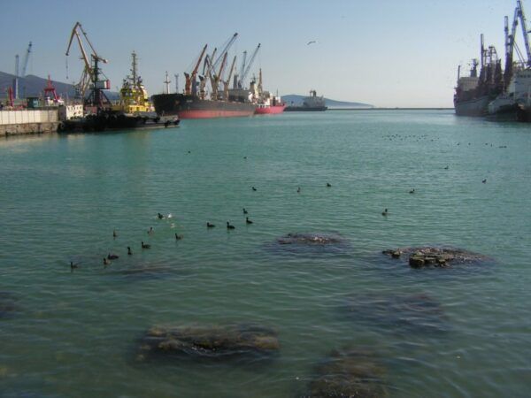 Ukraine Rebuked by Washington Over Caspian Pipeline Consortium Strikes