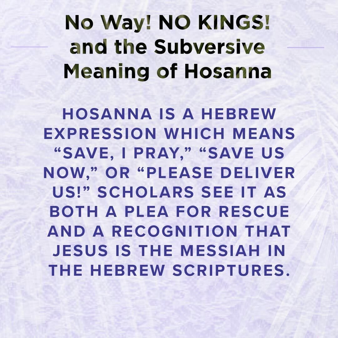 4 Graphics that are pale indigo, with a vintage textile pattern in the background. At the top there is the title of the blog post "No Way! NO KINGS! and the Subversive Meaning of Hosanna" and in the center blue text are a series of quotes from the blog post, and a photo of the writer and their name "Rev. Regan Saoirse"