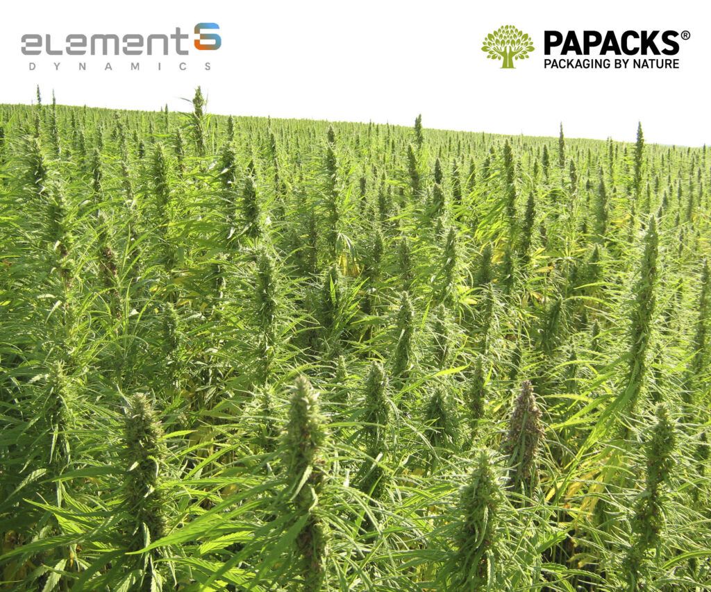 EDITORIAL: Hemp beverage bill is bad news for Colorado kids