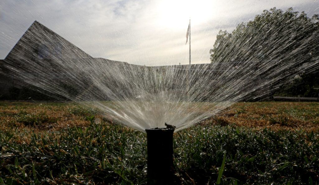Year-round gardening: Tips for saving water in dry year
