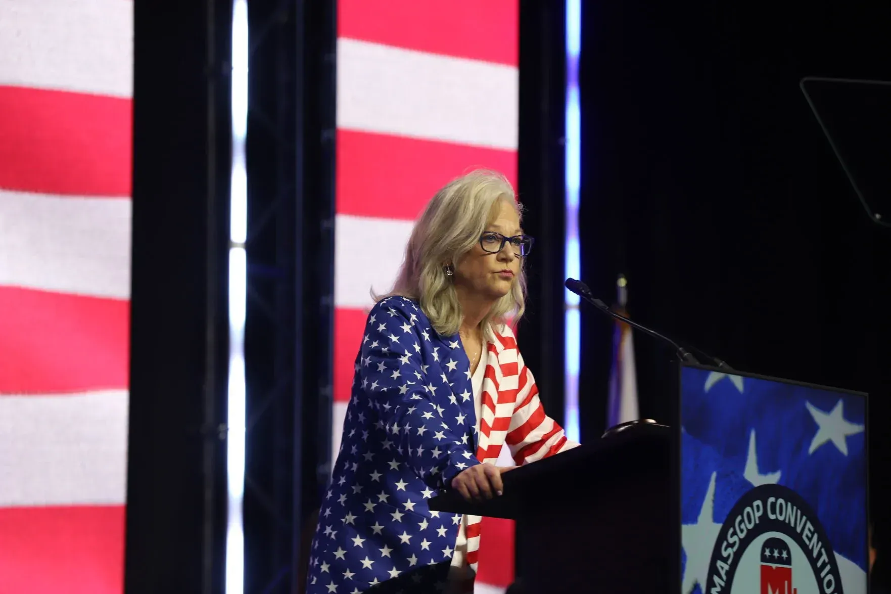 Judge Blocks Republican Anne Manning Martin From Massachusetts Lieutenant Governor Ballot, While Michael Walsh Wins Appeal