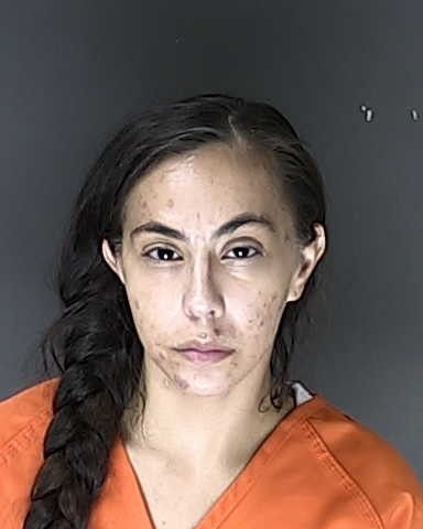 Motor vehicle theft suspect arrested after ramming deputy’s vehicle: ...